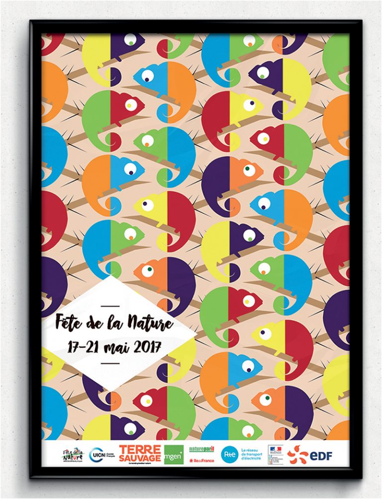 Affiche pour la Fête de la Nature