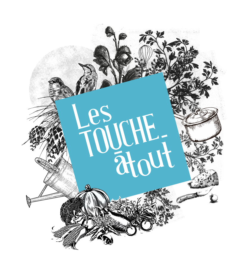 Logo illustratif et original pour les Touche-a-tout