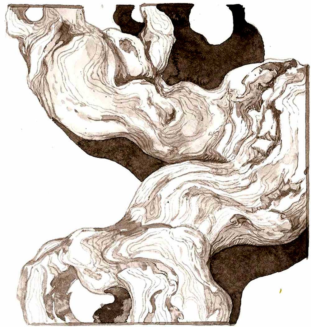 Illustration de cep de vigne