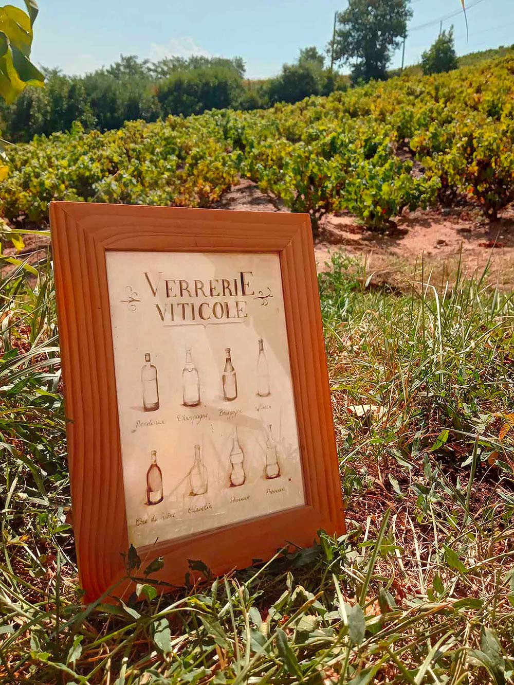 Illustration d’un ensemble de verrerie viticole